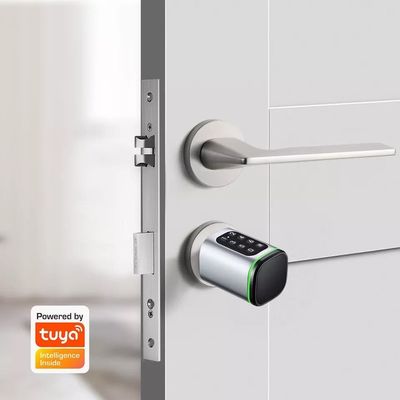 Carte mémoire Smart Digital Lock Tuya Wifi App Sécurité pour le bureau à domicile Petit cylindre ovale