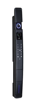 Tuya Smart Door Lock avec affichage étanche WIFI reconnaissance faciale 3D par empreinte digitale
