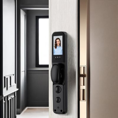 Fermetures de porte extérieures intelligentes avec empreinte digitale/mot de passe/carte Capacité 100 carte de déverrouillage