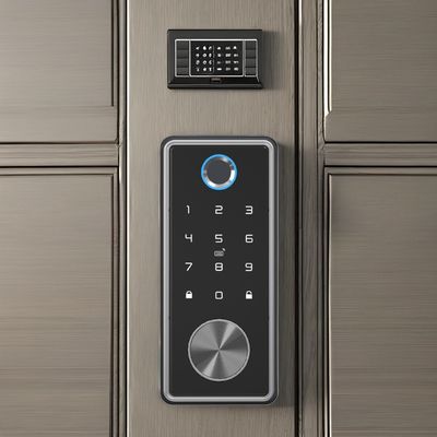Fermeture de porte d'empreintes digitales en alliage de zinc argenté pour le bureau à domicile WiFi Tuya Network Compatible