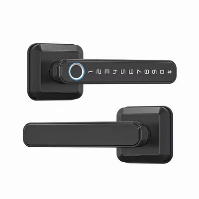 Manche de verrouillage d'entrée Bluetooth connecté WiFi pour verrouillage de porte de style moderne de simplicité