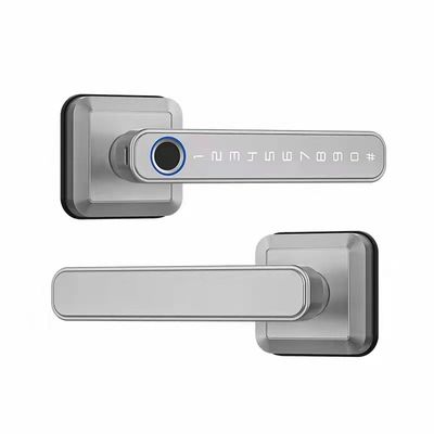 Manche de verrouillage d'entrée Bluetooth connecté WiFi pour verrouillage de porte de style moderne de simplicité