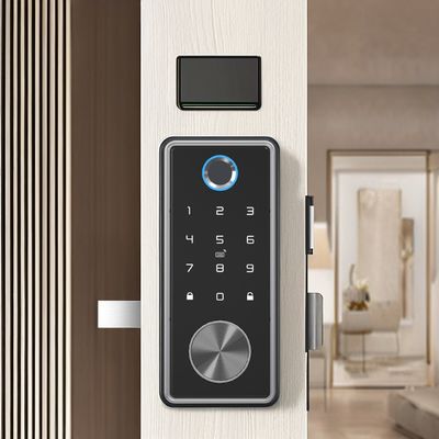 Fermeture intelligente en alliage de zinc noir bleu pour réseau WIFI Tuya APP Carte mémoire
