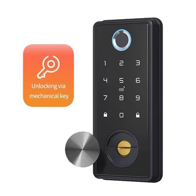 Fermeture intelligente en alliage de zinc noir bleu pour réseau WIFI Tuya APP Carte mémoire