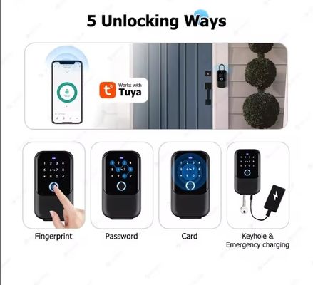 Accueil Hôtel Bureau Wifi connecté Smart Lock Tuya Réseau Mot de passe électronique Boîte à mot de passe Métal Porte en verre IP65 étanche