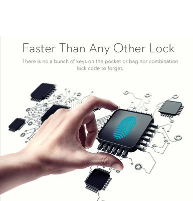 Sécurité sans effort Tuya Smart Cabinet Lock avec biométrie et moteur d'engrenage planétaire M10