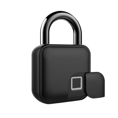 Interface USB alimentation mini porte verrouillage bagages empreinte digitale Smart cadenas pour les portes