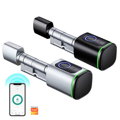 Contrôle de l'appli mobile TUYA Fermeture de porte à empreinte digitale intelligente avec ouverture de porte en argent
