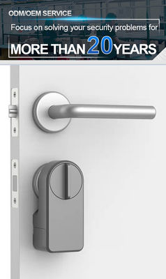 Porte de chambre clavier numérique Ttlock Smart Home Manche porte verrouilleur Durée de vie de la batterie