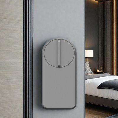 Mini cabinet Smart Entry Lock avec Tuya Ttlock App Couleur gris Durée de vie de la batterie 1 an