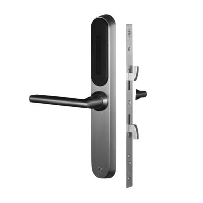 Fermeture à clef en acier inoxydable pour la maison Parola d'empreinte digitale WiFi Fermeture de porte en acier tout en un