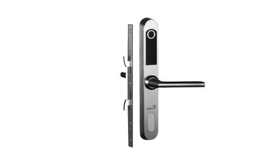 Fermeture à clef en acier inoxydable pour la maison Parola d'empreinte digitale WiFi Fermeture de porte en acier tout en un
