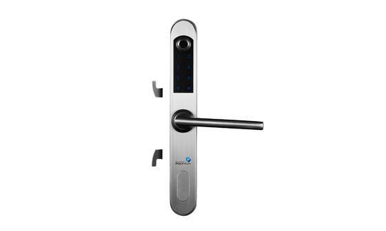 Fermeture à clef en acier inoxydable pour la maison Parola d'empreinte digitale WiFi Fermeture de porte en acier tout en un