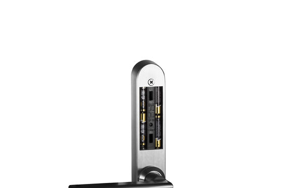 Fermeture à clef en acier inoxydable pour la maison Parola d'empreinte digitale WiFi Fermeture de porte en acier tout en un