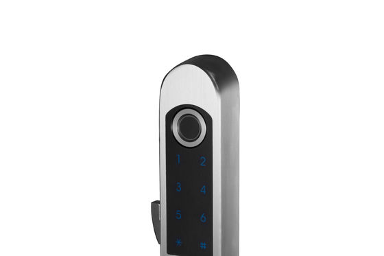 Fermeture à clef en acier inoxydable pour la maison Parola d'empreinte digitale WiFi Fermeture de porte en acier tout en un