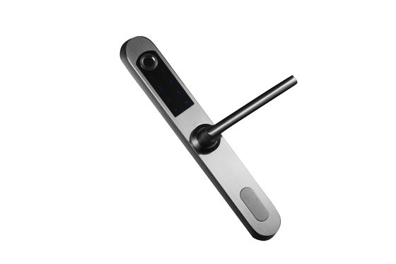 Fermeture à clef en acier inoxydable pour la maison Parola d'empreinte digitale WiFi Fermeture de porte en acier tout en un