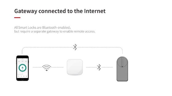 Présentation de la serrure de porte Wifi grise pour le stockage de cartes mémoire Tuya Wooden Doors