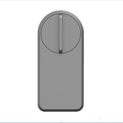 Zinc Alloy Tuya App Wifi Sans fil Mot de passe Fermeture de porte bleue intelligente pour 95% de portes