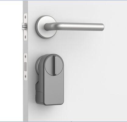 Zinc Alloy Tuya App Wifi Sans fil Mot de passe Fermeture de porte bleue intelligente pour 95% de portes