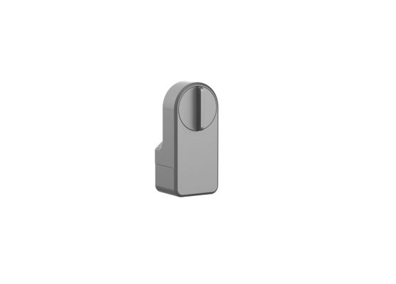 Zinc Alloy Tuya App Wifi Sans fil Mot de passe Fermeture de porte bleue intelligente pour 95% de portes