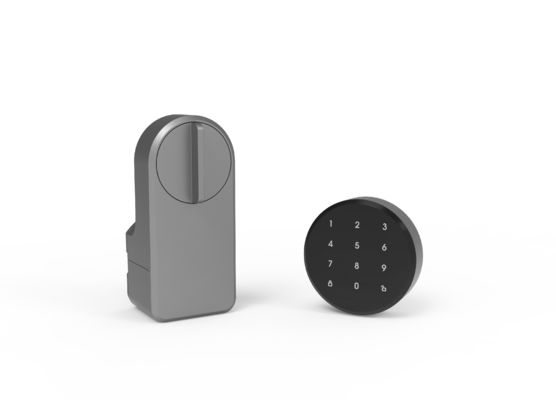 Zinc Alloy Tuya App Wifi Sans fil Mot de passe Fermeture de porte bleue intelligente pour 95% de portes
