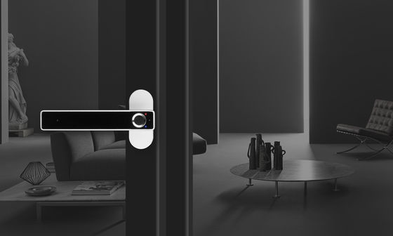Humidité de travail de 0 à 90% Humidité relative Fermeture électronique de porte en alliage de zinc pour la maison