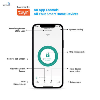 Porte en acier numérique Tuya App Cards Mot de passe Smart Cylinder Lock avec stockage de carte mémoire