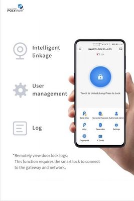 Utilisateur convivial de l'empreinte digitale WIFI porte de sécurité intérieure serrure poignée alliage de zinc pour hôtel