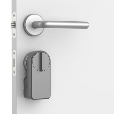 Fonction d'alarme Grise rétroactif Smart Knob verrouillage de porte pour Bluetooth passerelle et blocage