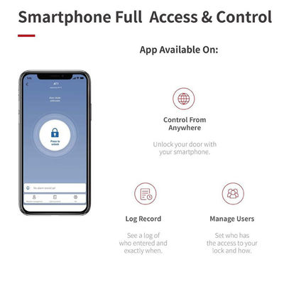 Fonction d'alarme Grise rétroactif Smart Knob verrouillage de porte pour Bluetooth passerelle et blocage