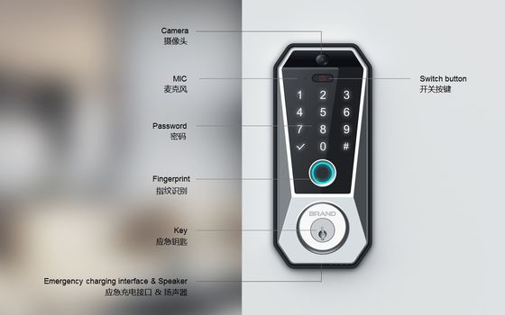 Tuya WIFI Digital Smart Door Lock avec stockage de données sur carte mémoire et accès aux empreintes digitales