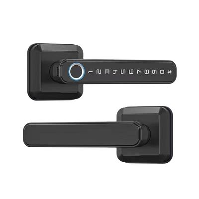 Matériau en alliage de zinc verrouillage de porte à empreinte digitale Wifi activé étanche IP66 pour porte en bois
