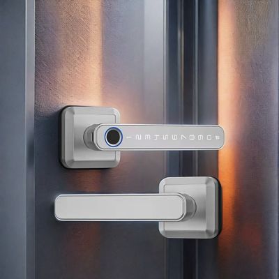 Matériau en alliage de zinc verrouillage de porte à empreinte digitale Wifi activé étanche IP66 pour porte en bois