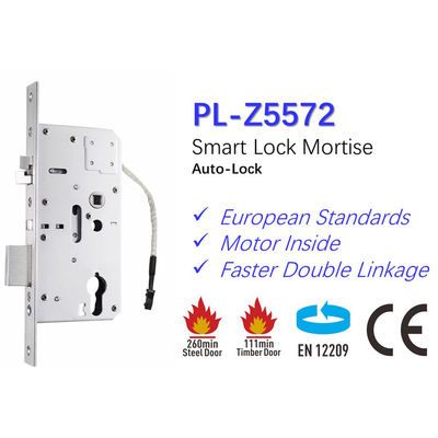 Niveau de sécurité Fermeture électrique Polymath Z5572 avec certification CE et conception imperméable