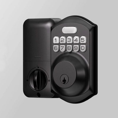 Concurrentiel maison Tuya électrique empreinte digitale porte sans clé poignée Smartlife ensemble de serrure de porte