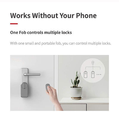 Améliorez votre porte avec APP Dent bleue Déverrouillez la connexion WIFI et la carte mémoire A1 Pro