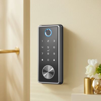 Fermeture à dents bleues multifonctionnelle pour portes en bois à l' empreinte digitale moderne et accès par carte