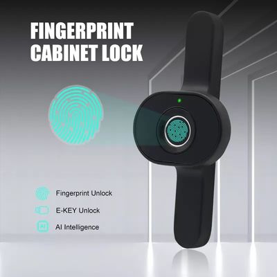 Fermeture de porte en bois sans clé avec empreinte digitale Vitesse d'ouverture inférieure à 0,5 s