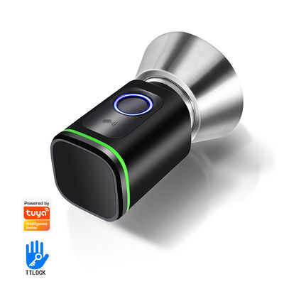 Sécurisez votre maison avec TUYA WiFi BLE Smart Door Lock Cylinder et carte mémoire