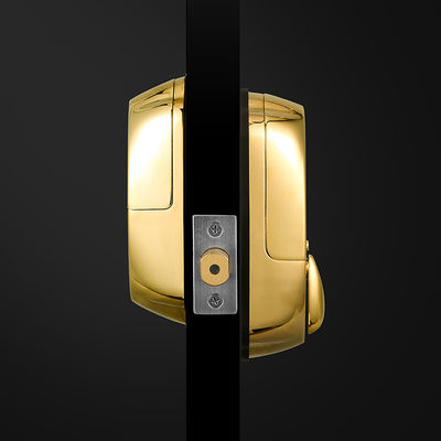 Porte en bois haute sécurité couleur or étanche coulissante Smart porte de verrouillage d'empreintes digitales 42,1 * 35,6 * 51,5 cm