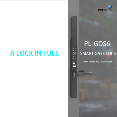 Tuya Wi-Fi à clé numérique étanche à l'eau App Smart Door Lock Biométrique Manche d'empreinte digitale