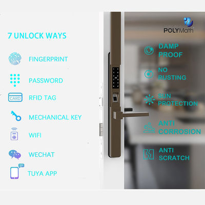 Tuya Wi-Fi à clé numérique étanche à l'eau App Smart Door Lock Biométrique Manche d'empreinte digitale