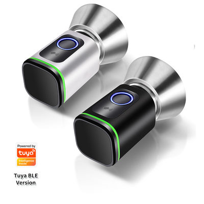 Code de passe argent noir TUYA APP Fermeture de porte avec verrouillage Wifi Lecteur de réseau Dimensions 42*42mm
