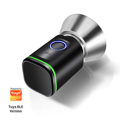 Code de passe argent noir TUYA APP Fermeture de porte avec verrouillage Wifi Lecteur de réseau Dimensions 42*42mm