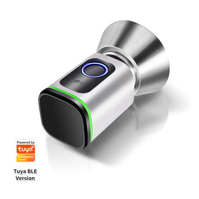 Code de passe argent noir TUYA APP Fermeture de porte avec verrouillage Wifi Lecteur de réseau Dimensions 42*42mm