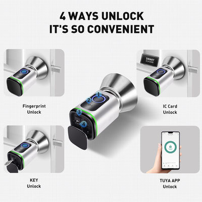 Code de passe argent noir TUYA APP Fermeture de porte avec verrouillage Wifi Lecteur de réseau Dimensions 42*42mm