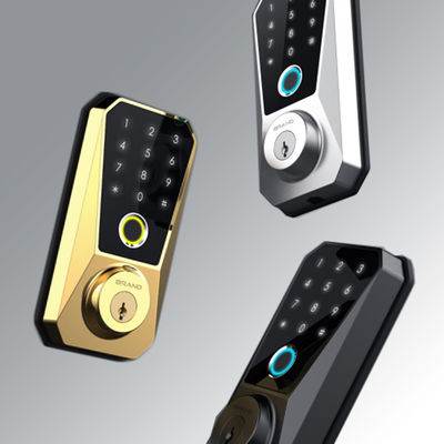 Fermeture intelligente en alliage de zinc personnalisable compétitive pour le verrouillage de porte à empreinte digitale Wifi