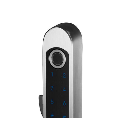Fermeture de porte en verre à empreinte digitale biométrique en acier inoxydable étanche pour portes coulissantes