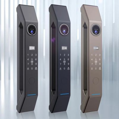 Fermeture de porte à bois avec batterie au lithium de 4200mA et reconnaissance faciale 3D