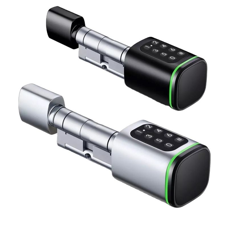 Carte mémoire Smart Digital Lock Tuya Wifi App Sécurité pour le bureau à domicile Petit cylindre ovale